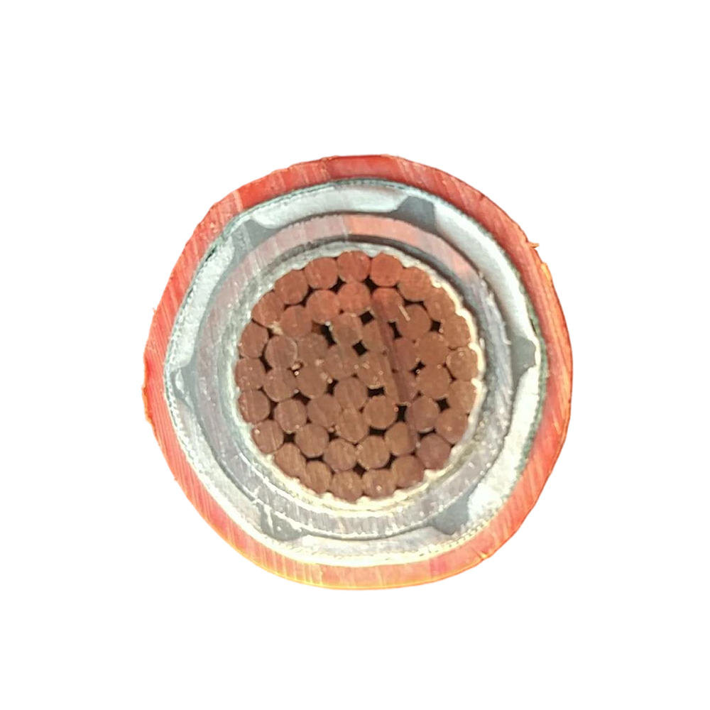 Cavo flessibile ignifugo con isolamento minerale BTLY impermeabile e resistente all'umidità
