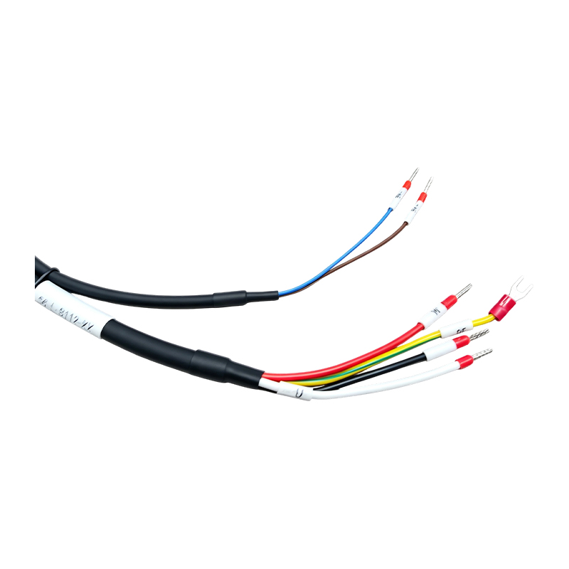 Cavo combinato motore e freno ad alta potenza S6-L-B112-3.0